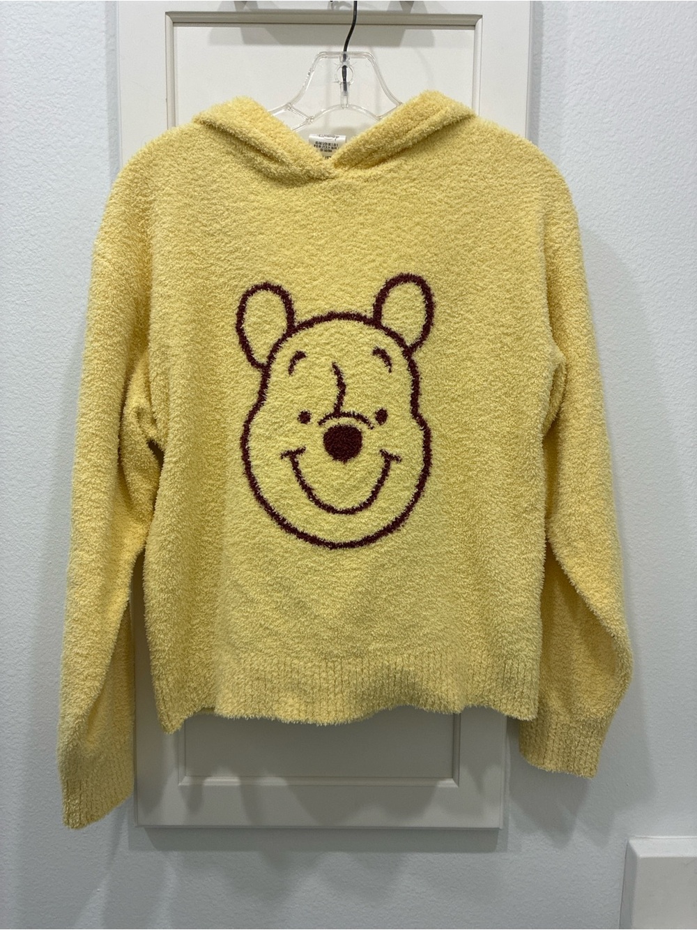 Disney Parks Winnie the Pooh hoodie